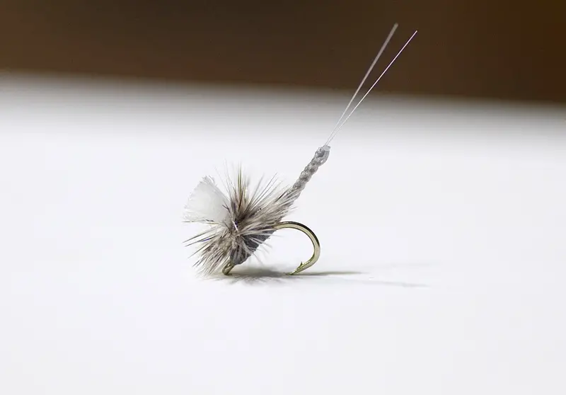 Bauer’S Extended-Body Mayfly Imitation 1