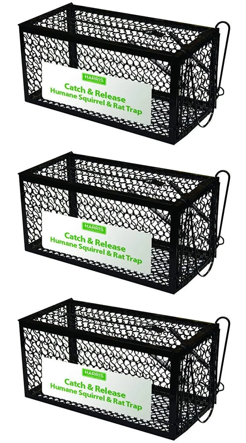 Harris Catch-And-Release Humane Rodent Trap – 2-Pack Cage Trap For Rats, Chipmunks & Small Squirrels 3