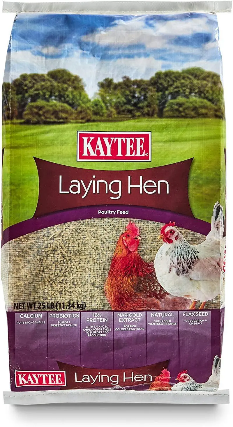 Kaytee Laying Hen Feed – Nutritionally Balanced Diet For Egg-Laying Hens 2