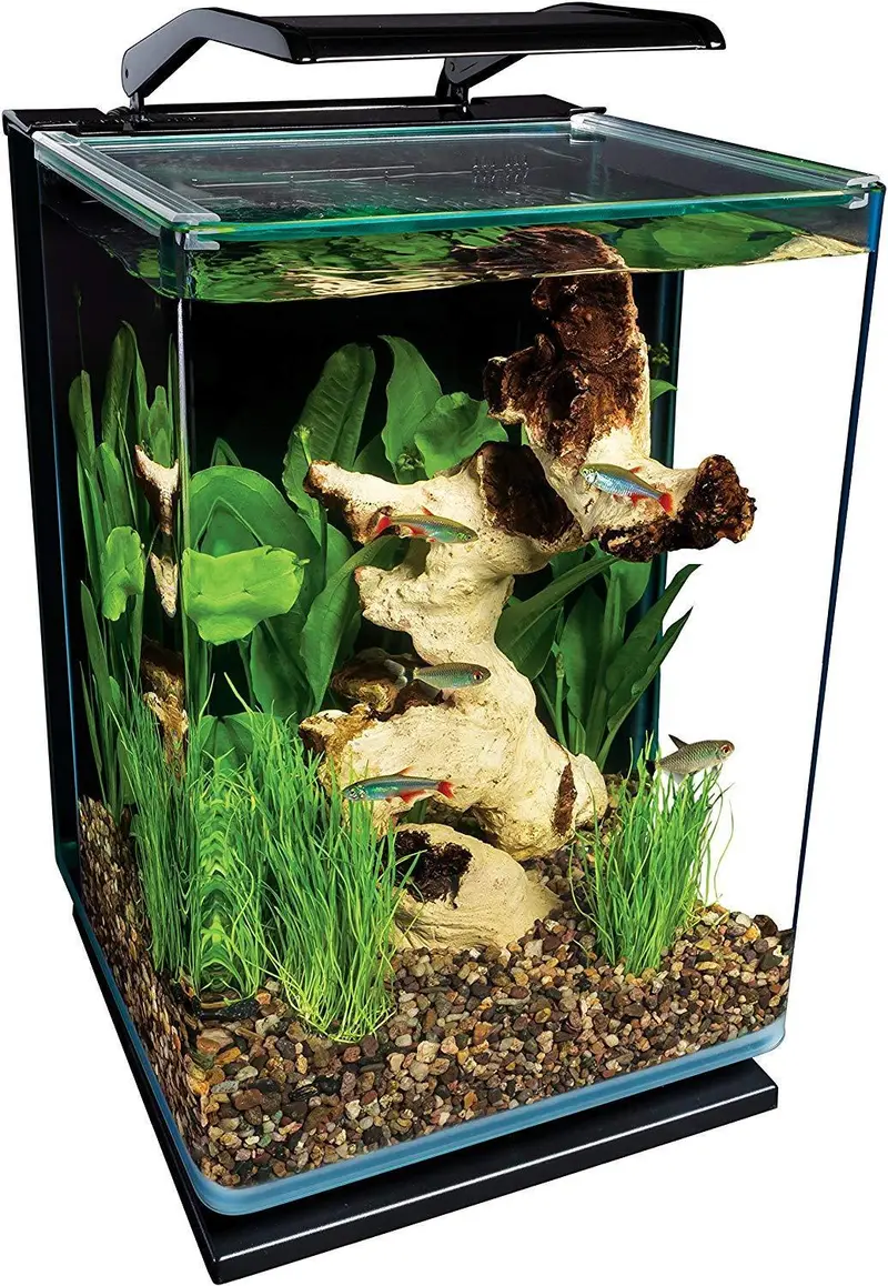 Marineland 5-Gallon Portrait Led Aquarium Kit — All-In-One Glass Tank System 1
