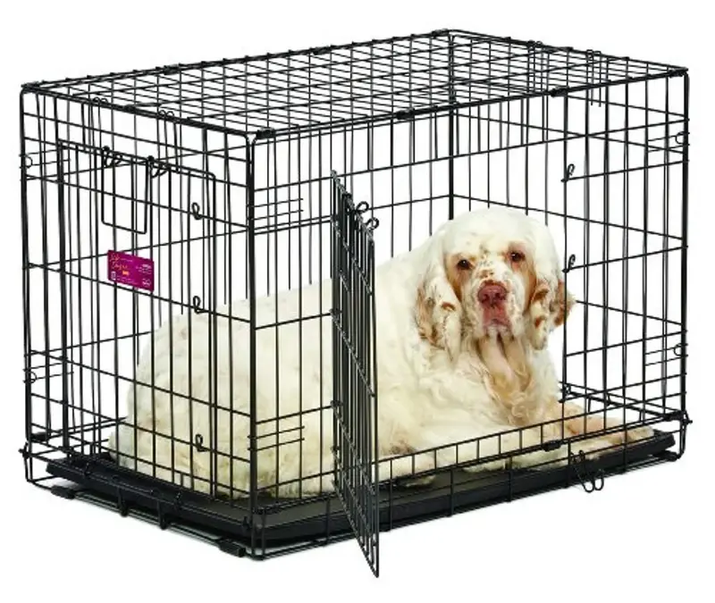 Midwest Life Stages Ace Double-Door Dog Crate – Durable, Foldable, Ventilated Pet Carrier For Travel & Training 1
