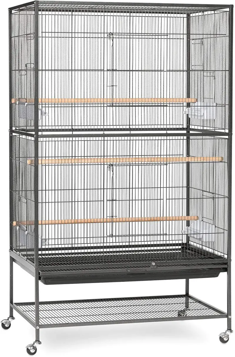 Prevue Hendryx Wrought Iron Flight Cage – Spacious Indoor Aviary For Medium Birds 1