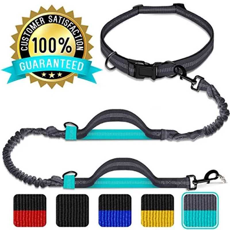 Strong Dual-Handle Dog Leash – 6Ft Nylon Lead With Padded Grips, Built-In Waste Bag Dispenser & Included Poop Bags For All Sizes 1