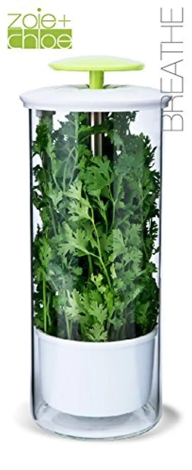 Zoie + Chloe Glass Herb Keeper – Breathable Freshness Storage For Culinary Herbs 1
